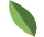 small-leaf